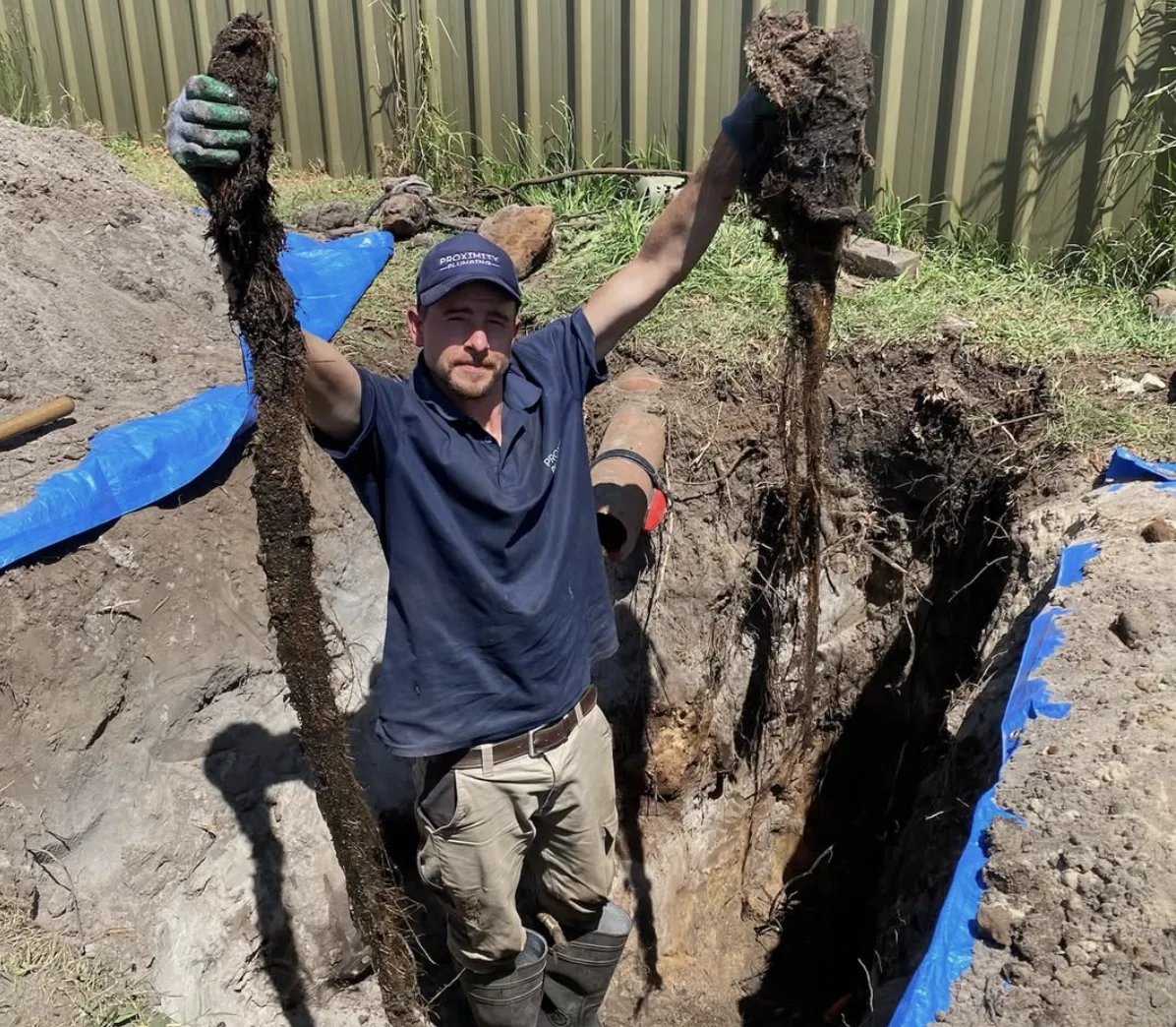 Tree roots pulled from a blocked drain in an open trench